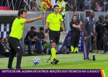 Observe as manifestações de Fernando Diniz na partida Vasco 0 x 2 Botafogo.