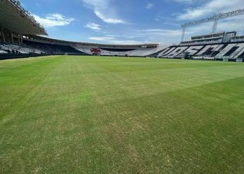Gramado do Estádio de São Januário
