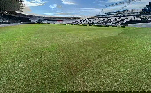 Gramado do Estádio de São Januário