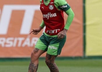 Palmeiras obtém efeito suspensivo no STJD e Zé Rafael está autorizado a jogar contra o Vasco.