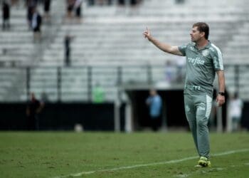 Rafael Paiva se reencontra com o Palmeiras, clube onde atuou nas categorias de base e desempenhou um papel fundamental na formação da chamada ‘geração de R$ 1 bilhão’