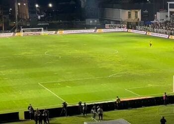 Gato cruzou o gramado de São Januário durante o intervalo da partida entre Vasco e Bahia.