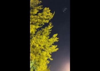 Vasco compartilha vídeo com clipes do treino realizado nesta sexta-feira; assista.