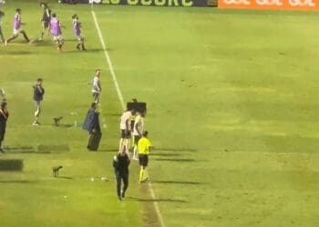 Vasco x Atlético-MG sinalizou o retorno de Paulinho aos campos após um período de 10 meses; assista aos vídeos.