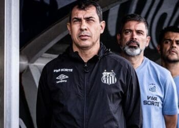 Fábio Carille durante jogo entre Santos e Brusque, pela Série B Raul Baretta/Santos FC