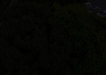 Ex-jogador do Vasco, Nenê confirma renovação com o Juventude