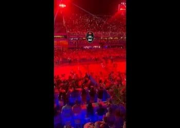 Edmundo acenou com o gesto da Força Jovem durante o desfile do Salgueiro na Marquês de Sapucaí; assista ao vídeo.