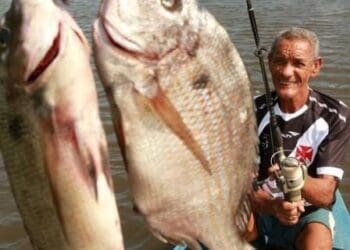 Confira os memes em comemoração à vitória do Vasco contra o Santos na abertura do Campeonato Brasileiro!