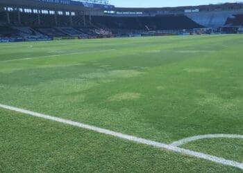 Fotos revelam a excelente condição do gramado de São Januário