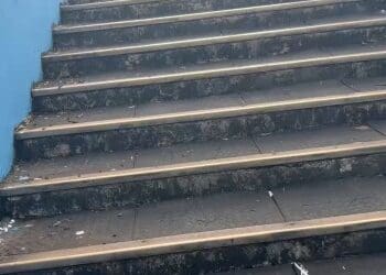 Gramado do Parque do Sabiá se encontra em excelentes condições para Cruzeiro x Vasco; confira o vídeo