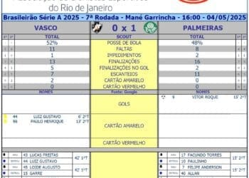 Analise das estatísticas de Vasco 0 x 1 Palmeiras