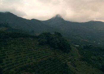 Vasco lança vídeo inédito de sua nova camisa preta: ‘Família, Vasco e Café’; assista