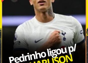 Pedrinho se comunica para esclarecer a situação de Richarlison, que também atrai a atenção de Flamengo, Fluminense e Palmeiras.