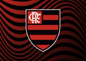 De acordo com uma pesquisa do jornal ‘O Globo’, Vasco possui a 5ª maior torcida do Brasil.