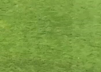 Fernando Diniz e Philippe Coutinho trocaram algumas palavras durante Vasco x Atlético-MG, mas logo se reconciliaram com um abraço; confira o vídeo.