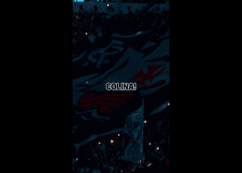 Torcida do Vasco comemorando com bandeira.