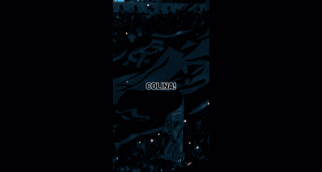 Torcida do Vasco comemorando com bandeira.