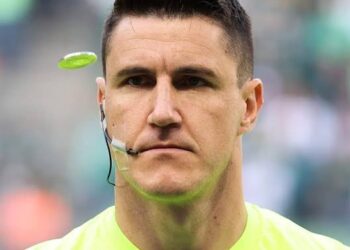 Árvore de árvores em floresta tropical exuberante.