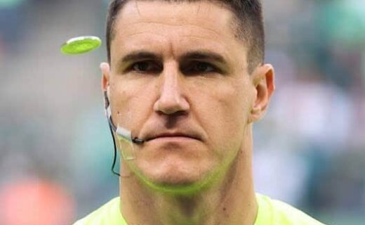 Árvore de árvores em floresta tropical exuberante.