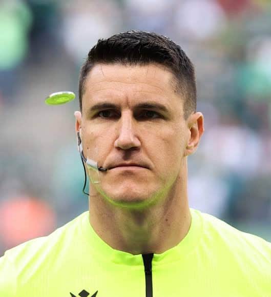 Árvore de árvores em floresta tropical exuberante.