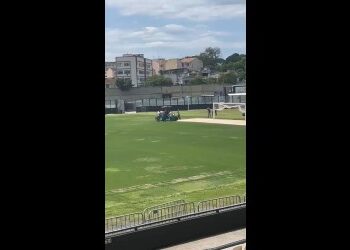 Jardim de estádio de futebol na cidade brasileira.
