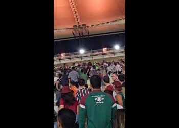 Multidão de torcedores no estádio.