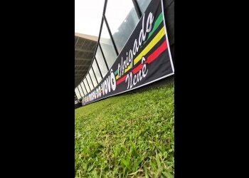 Vasco da Gama no estádio com grama verde.
