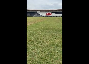 Greenleaf informa que finalizou o cultivo do gramado de São Januário; assista ao vídeo