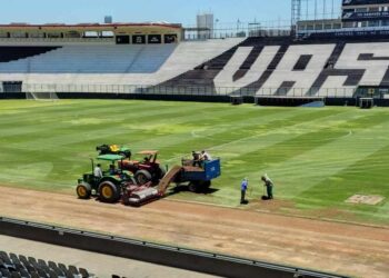 Vasco vai fazer a estreia do seu novo gramado em São Januário contra o Internacional, no dia 28/11.