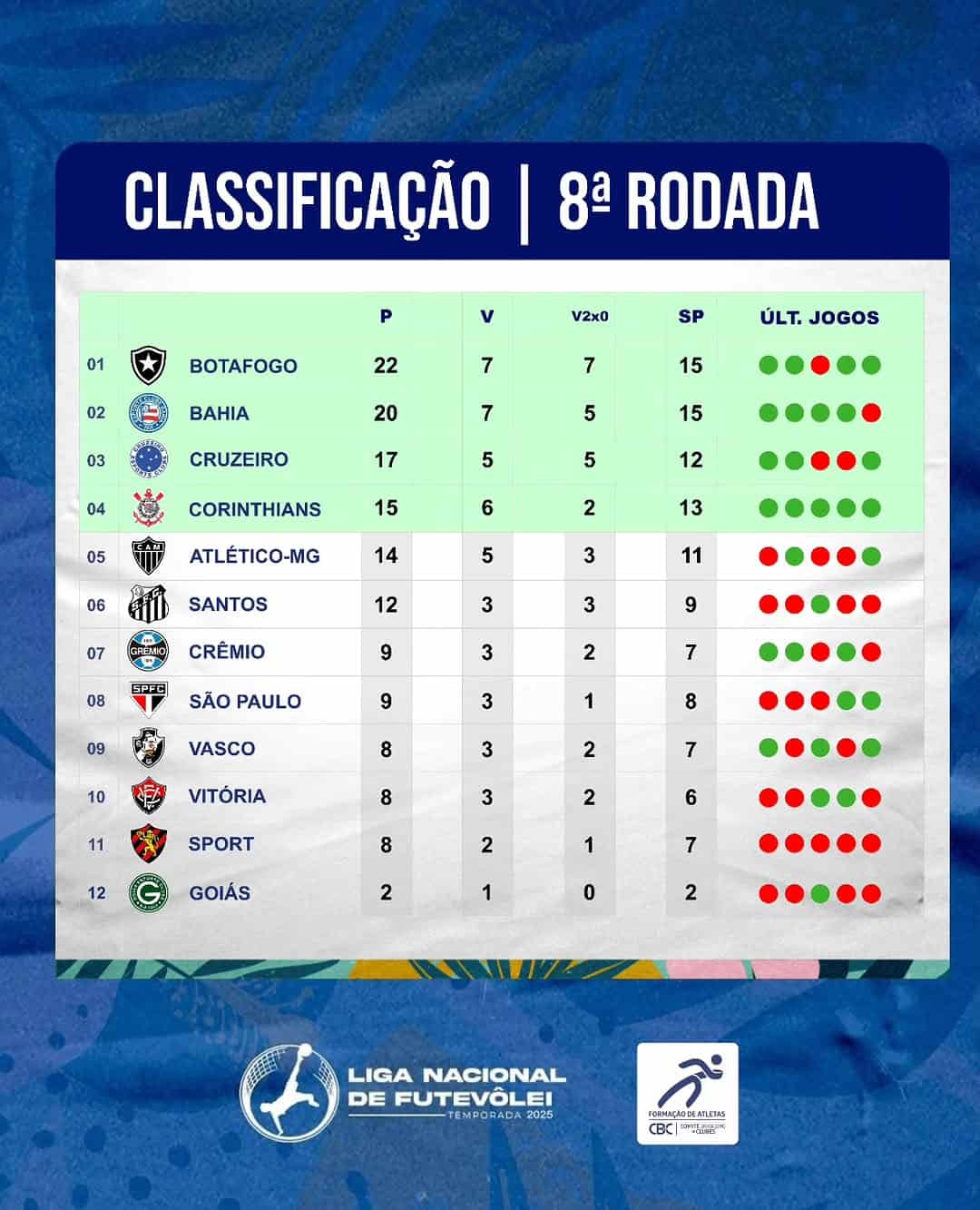 Botafogo logo de time de futebol.