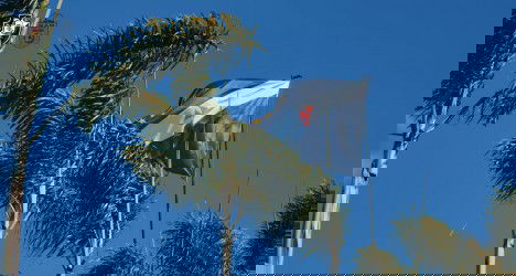 Vasco da Gama Bandeira ao Vento em Palmeiras.