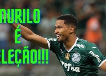 Confira os destaques do zagueiro Murilo, do Palmeiras, que está sendo cogitado no Vasco.